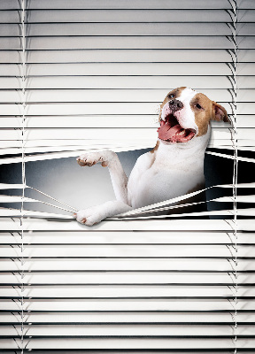 Blackout roller blind Dog