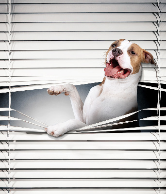Blackout roller blind Dog