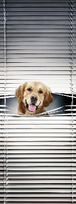 Blackout roller blind for window Golden Dog