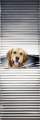 Blackout roller blind for window Golden Dog