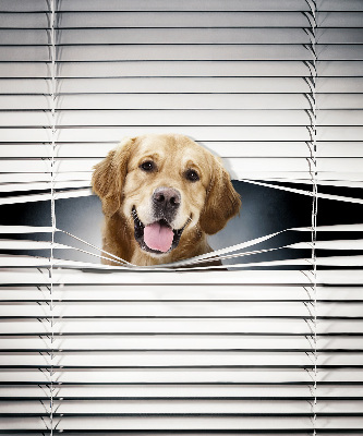 Blackout roller blind for window Golden Dog