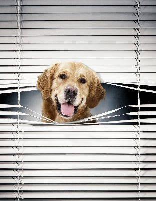 Blackout roller blind for window Golden Dog