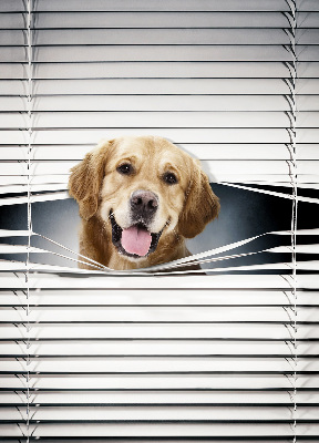 Blackout roller blind for window Golden Dog