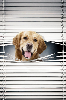 Blackout roller blind for window Golden Dog