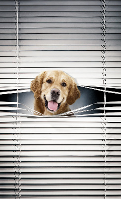 Blackout roller blind for window Golden Dog