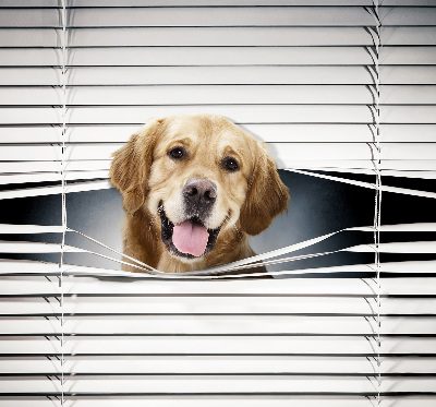 Blackout roller blind for window Golden Dog
