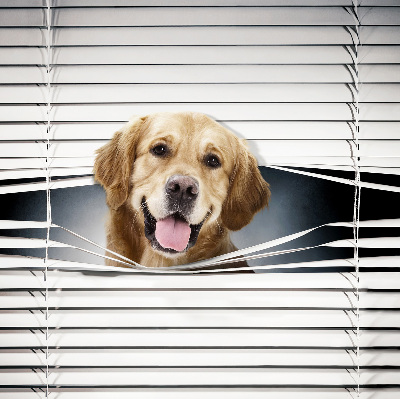 Blackout roller blind for window Golden Dog