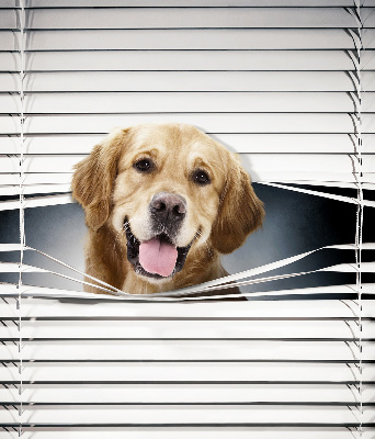 Blackout roller blind for window Golden Dog