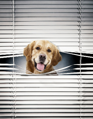 Blackout roller blind for window Golden Dog