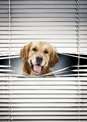 Blackout roller blind for window Golden Dog