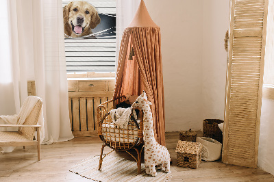 Blackout roller blind for window Golden Dog