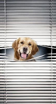 Blackout roller blind for window Golden Dog