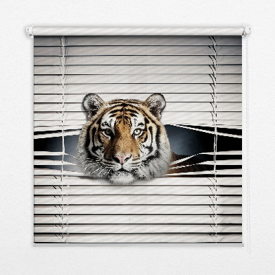 Fabric roller blind for window Tiger