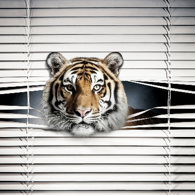 Fabric roller blind for window Tiger