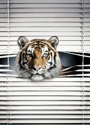 Fabric roller blind for window Tiger