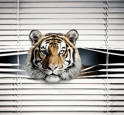 Fabric roller blind for window Tiger
