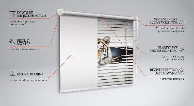 Fabric roller blind for window Tiger