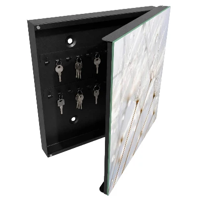 Wall mounted key box Lightness of nature