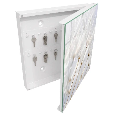 Wall mounted key box Lightness of nature