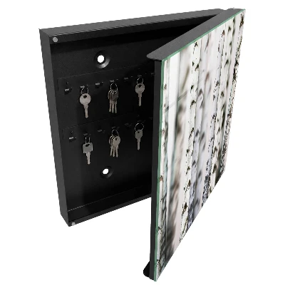 Key box for wall Birch trunks