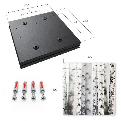 Key box for wall Birch trunks