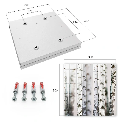 Key box for wall Birch trunks