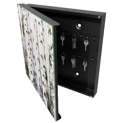 Key box for wall Birch trunks