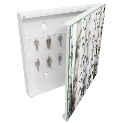 Key box for wall Birch trunks