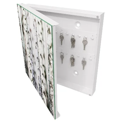 Key box with birch trunk wall mount
