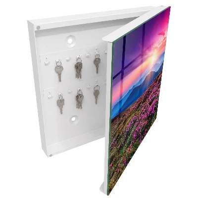 Key cabinet Mountain morning