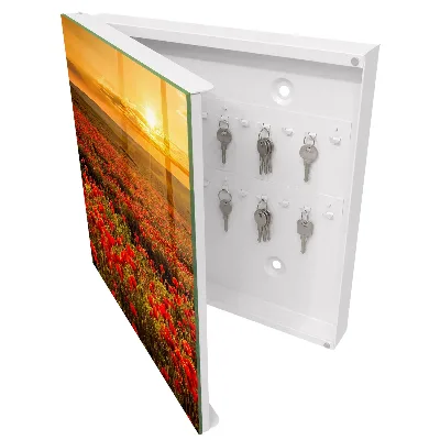 Key cabinet Poppy fields