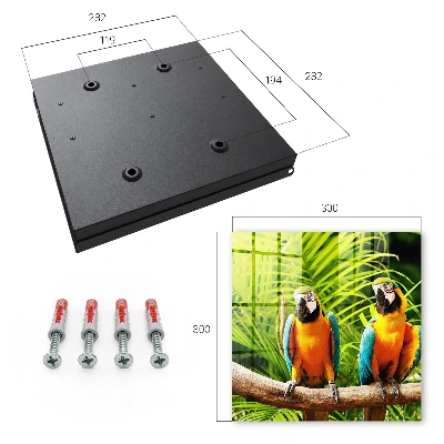 Key box for wall Tropical birds