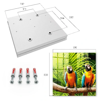 Key box for wall Tropical birds