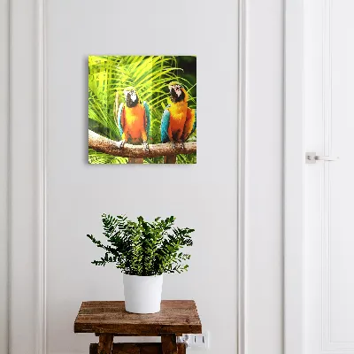 Key box for wall Tropical birds
