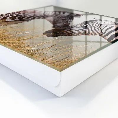 Wall mounted key box Zebras together
