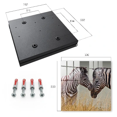 Wall mounted key box Zebras together