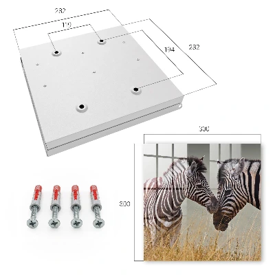 Wall mounted key box Zebras together