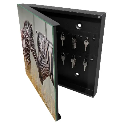 Wall mounted key box Zebras together