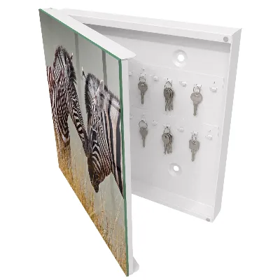 Wall mounted key box Zebras together