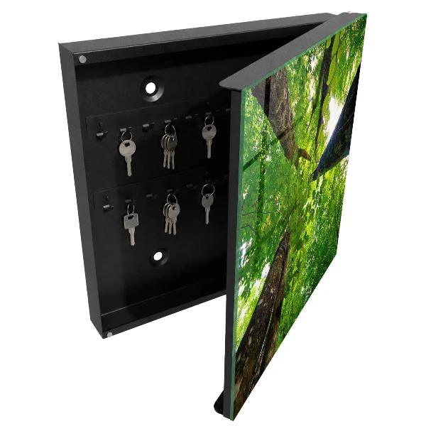 Key box for wall Forest sky