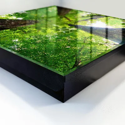Key box for wall Forest sky
