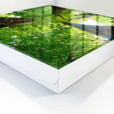 Key box for wall Forest sky