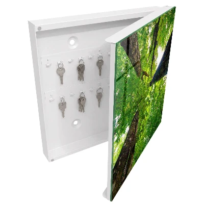 Key box for wall Forest sky