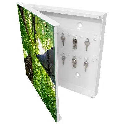 Key box for wall Forest sky