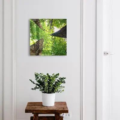 Key box for wall Forest sky