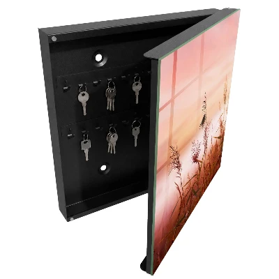 Wall mounted key box Grass at dawn