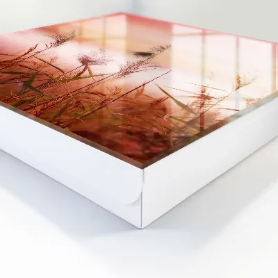 Wall mounted key box grass at dawn design