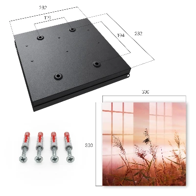 Wall mounted key box Grass at dawn