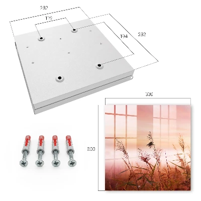 Wall mounted key box Grass at dawn