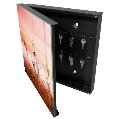 Wall mounted key box Grass at dawn